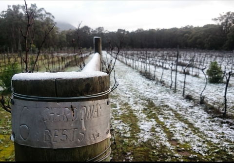 Mount Buninyong Winery - Tourism Noosa 1