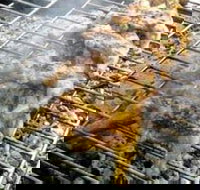 Brisbane Portuguese Family Centre - Tourism Noosa