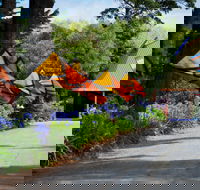 Oakdene Vineyards and Cellar Door - Tourism Noosa