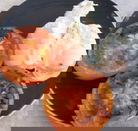 The Deck Poolside Bar  Restaurant - Tourism Noosa