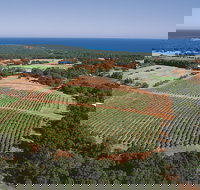 Wise Wine - Tourism Noosa