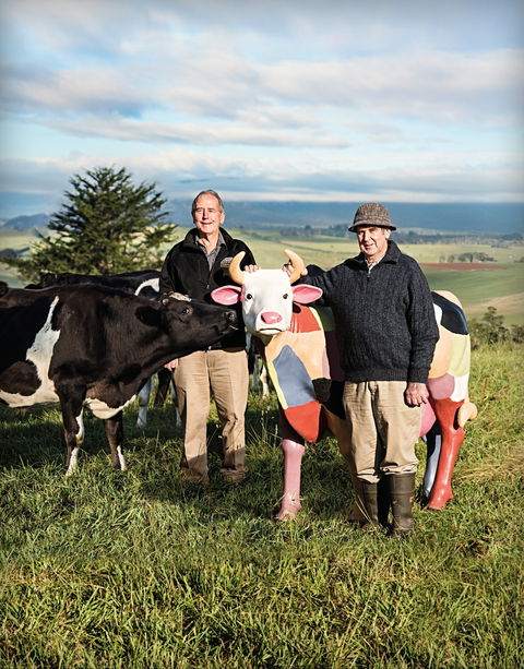 Ashgrove Farm Cheese - Tourism Noosa 1