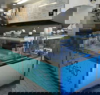 Fish and Chip Shop - Tourism Noosa