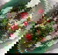 Tiggy - Tourism Noosa