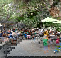 Apollonian Hotel - Tourism Noosa