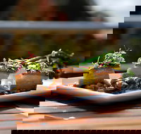 Avocados Bar and Cafe - Tourism Noosa