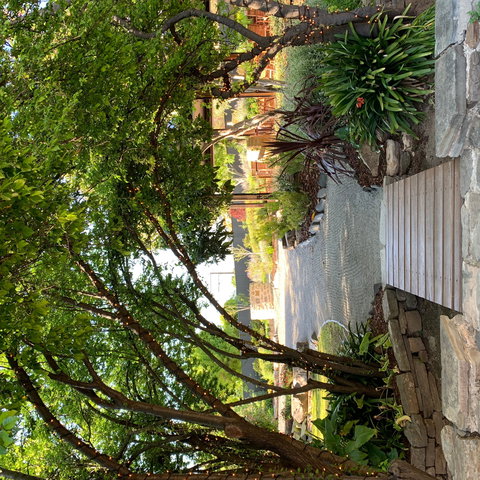 Velvet & Willow - Tourism Noosa 0