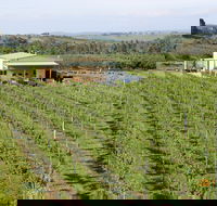 Dindima Wines - Tourism Noosa