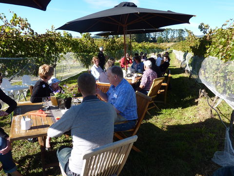 Dindima Wines - Tourism Noosa 1