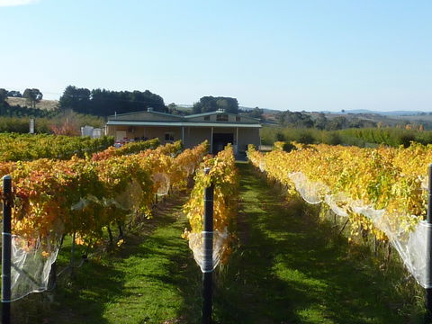 Dindima Wines - Tourism Noosa 2