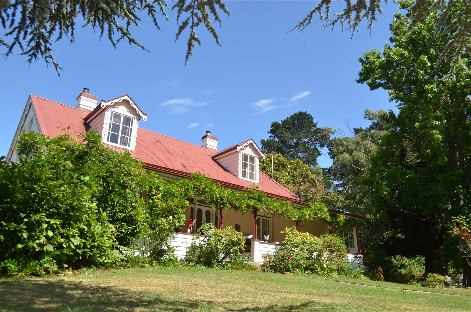 Bushy Park TAS Tourism Noosa