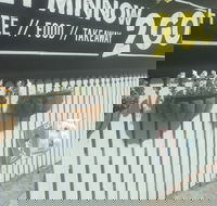 Let Minnow 2 Go - Tourism Noosa
