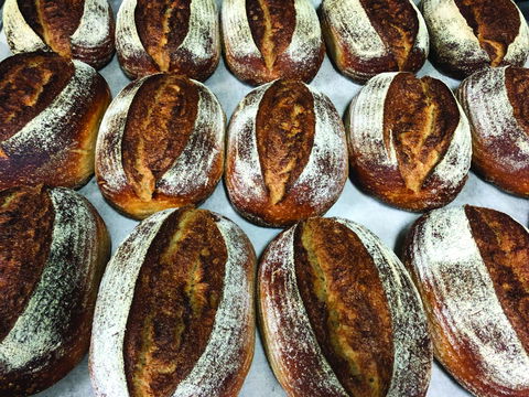 Farmer's Bakehouse - Tourism Noosa 0