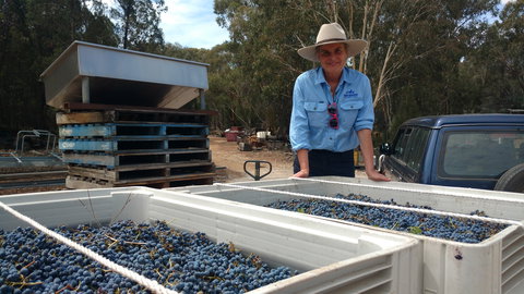 Guneemooroo Estate - Tourism Noosa 1