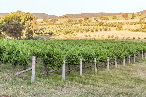 Guneemooroo Estate - Tourism Noosa 2