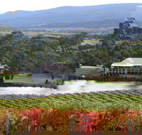 Milton Vineyard - Tourism Noosa
