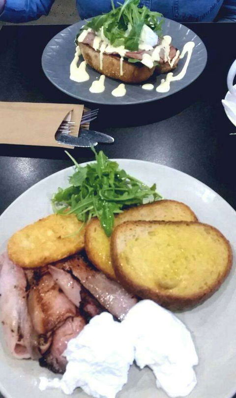 Zitto - Tourism Noosa 0