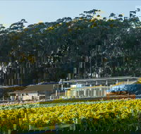 Moores Hill Estate - Tourism Noosa