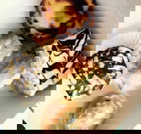 Portuguese Delights - Tourism Noosa