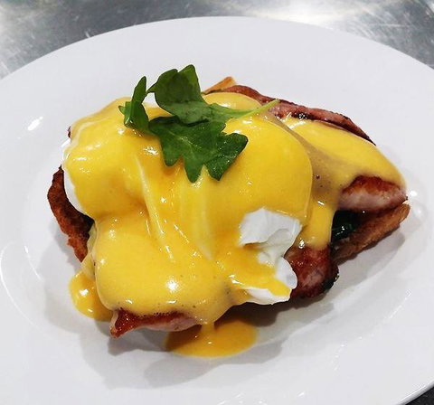 The Teal Turtle Cafe - Tourism Noosa 3