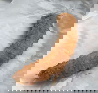 Blue Ocean - Tourism Noosa