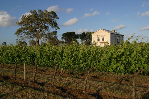 Highbank Vineyards - Tourism Noosa 0