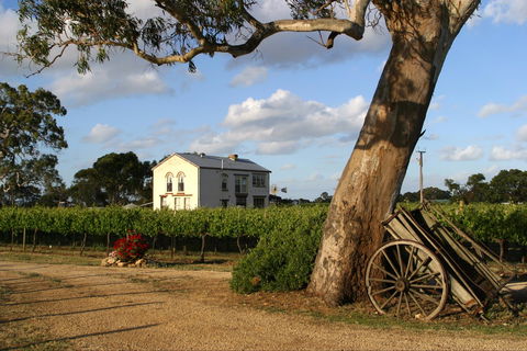 Highbank Vineyards - Tourism Noosa 2