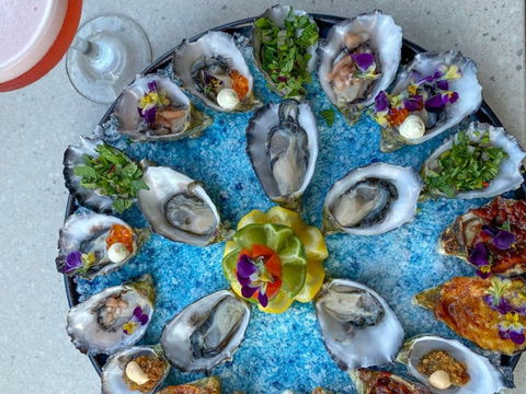 Oyster Bar Darwin - Tourism Noosa 2