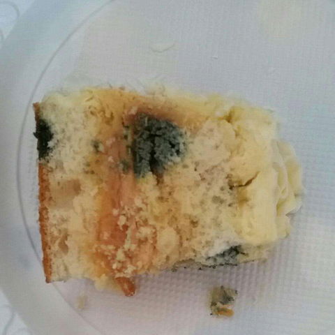 Central Patisseries - Tourism Noosa 0