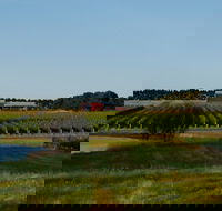 McGlashans Wallington Estate - Tourism Noosa