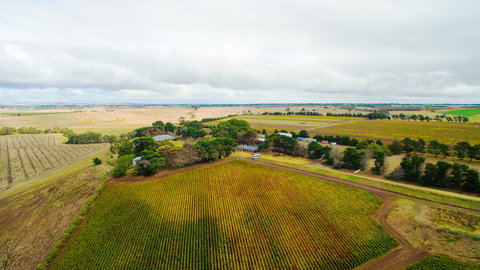 Pettavel Wines - Tourism Noosa 0