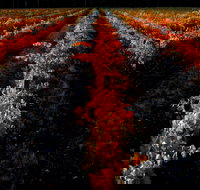 Sandhurst Ridge - Tourism Noosa