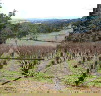 Habitat Vineyard - Tourism Noosa