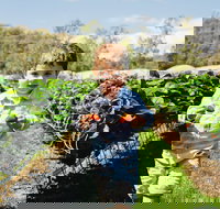 Hillwood Berries Farmgate  Pick Your Own - Tourism Noosa