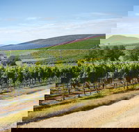 Jansz Tasmania - Tourism Noosa