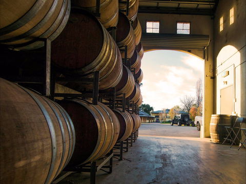 Eling Forest Cellar Door And Cafe - Tourism Noosa 2