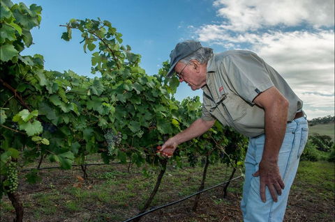 Vale Creek Wines - Tourism Noosa 2