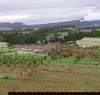 Villa d Esta Vineyard - Tourism Noosa
