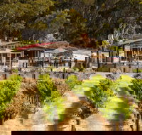 False Cape Wines Cellar Door - Tourism Noosa
