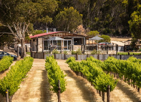False Cape Wines Cellar Door - Tourism Noosa 0