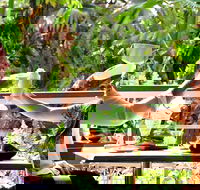 Jaques Coffee Plantation - Tourism Noosa