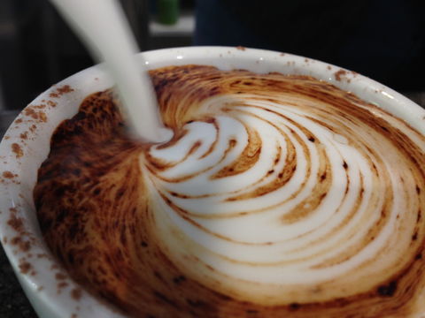 Jaques Coffee Plantation - Tourism Noosa 1