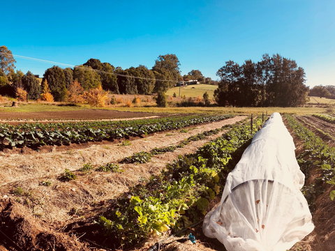 Synchronicity Farm - Tourism Noosa 0