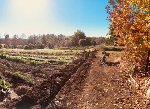 Synchronicity Farm - Tourism Noosa 1