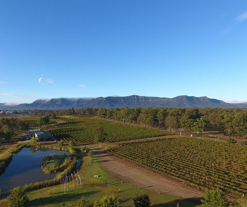 Mistletoe Winery - Tourism Noosa 0