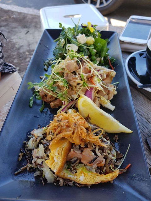 Skal - Tourism Noosa 0