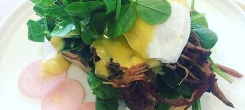 Ajanta - Tourism Noosa 2