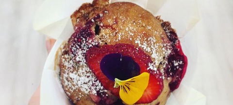 Ajanta - Tourism Noosa 3