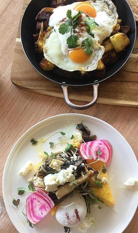 Ajanta - Tourism Noosa 4