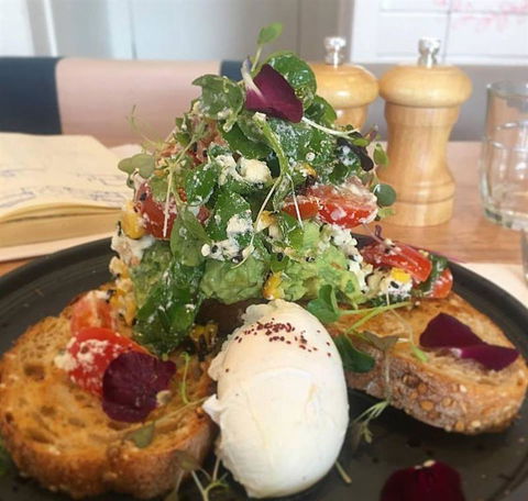 Ajanta - Tourism Noosa 7